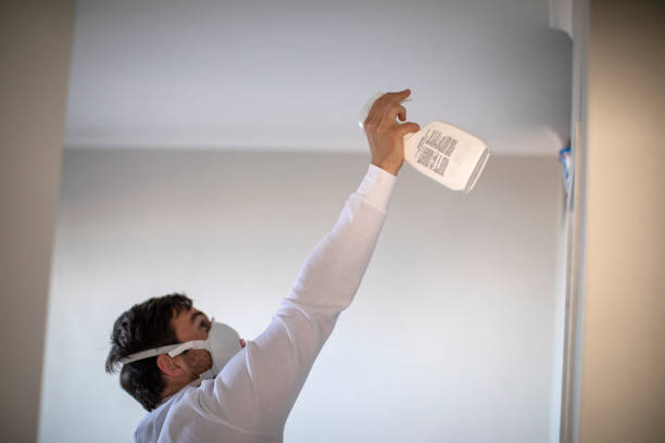 Best DIY Mold Remediation Support Services in Greene, RI