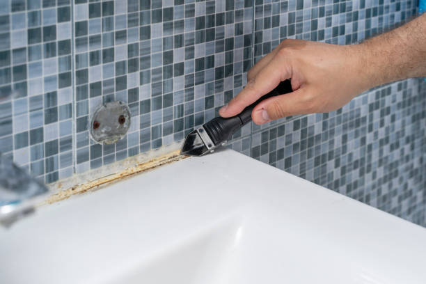 Best Insurance-Related Mold Remediation in Greene, RI